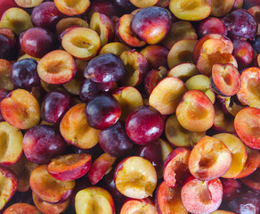 halves of ripe plum fruit