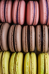 Three rows of pink black current, brown chocolate and light green pistachio macarons in close up