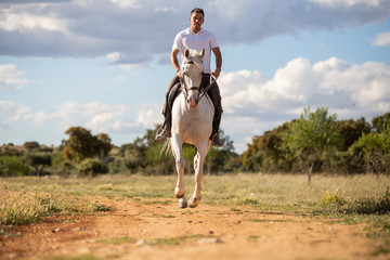 Young guy in casual outfit riding white horse on sandy road