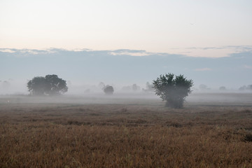 THAILAND PHITSANULOK LANDSCAPE