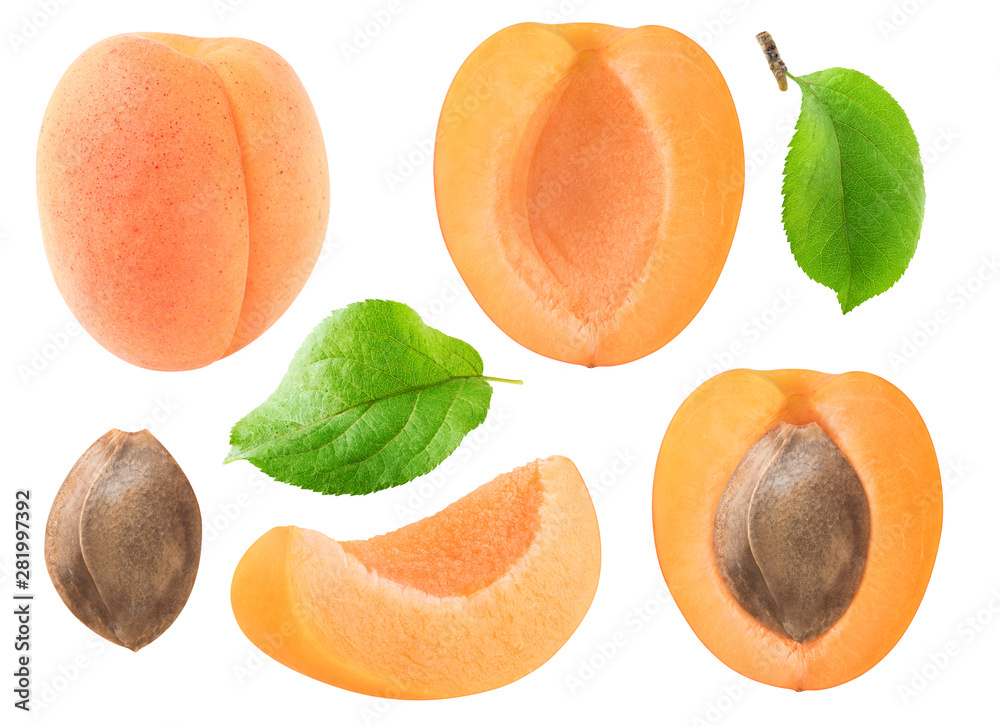 Poster isolated apricots collection. whole and cut apricot fruits, leaves and kernel isolated on white back