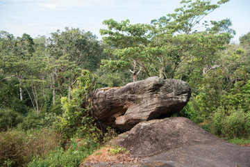 THAILAND PHITSANULOK NATIONAL PARK