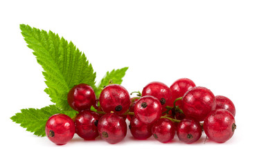 Red ripe Currant berries isolated over white background