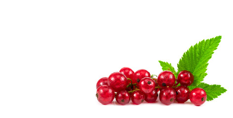 Red ripe Currant berries isolated over white background