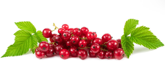 Red ripe Currant berries isolated over white background