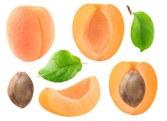 Isolated apricots collection. Whole and cut apricot fruits, leaves and kernel isolated on white...