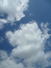 a white cloud flying along the blue sky