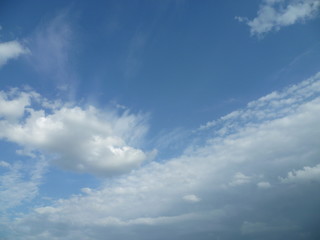 Naklejka na ściany i meble a white cloud flying along the blue sky