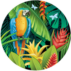 Fototapety  Tło z roślinami tropikalnych dżungli i papugą