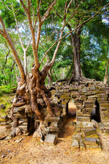 Ancient ruins inThe Angkor