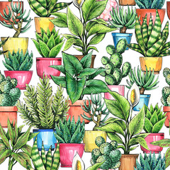 Floral illustration. Indoor plants seamless pattern. Hand drawing with watercolor and ink. Design for packaging, wallpaper and fabric.