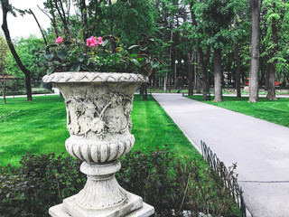 Fototapeta na wymiar Сoncrete vase with flowers in Gorky Park, Kharkov city, Ukraine