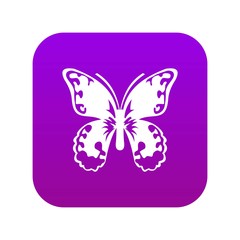 Butterfly icon digital purple for any design isolated on white vector illustration
