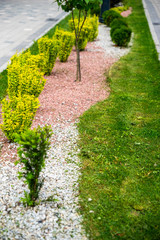 Obraz premium gravel and stones in the decoration of flower beds in landscape design