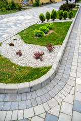 Obraz premium evergreens with gravel in the decoration of the flowerbed in landscaping