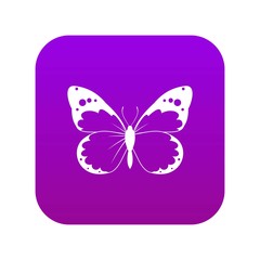 Butterfly icon digital purple for any design isolated on white vector illustration