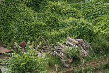 Some firewood cut in the household Copy Space