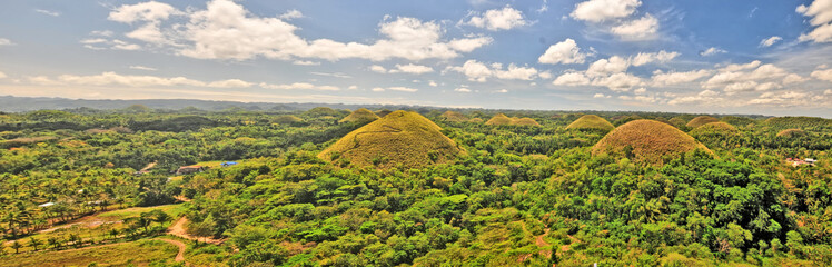 The Chocolate Hills  -  geological formation in the Bohol province of the Philippines. - obrazy, fototapety, plakaty