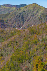 半月山の登りの登山道から見た社山
