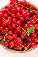 Fresh red currant berries in a bowl on a pink background