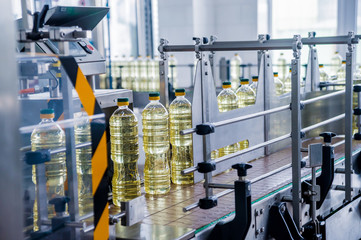 Bottling line of sunflower oil in bottles. Vegetable oil production plant. High technology.