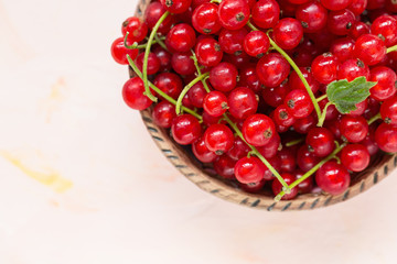Fresh red currant berries in a bowl on a pink background