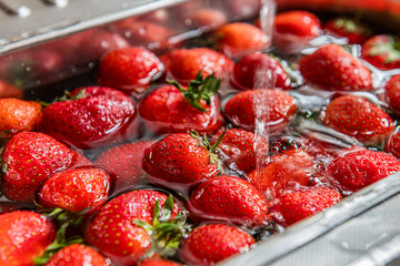 Erdbeeren frisch waschen