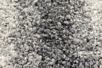 Background in the form of lamb fur (astrakhan) light gray color, close-up