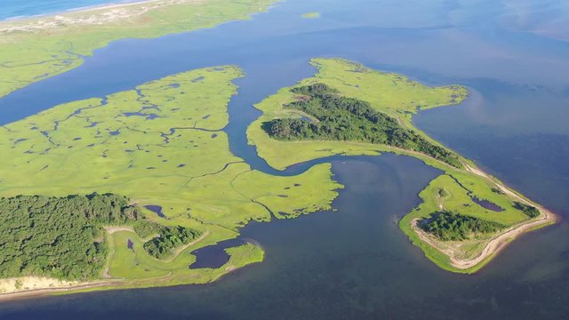 A healthy salt marsh grows in Pleasant Bay, Cape Cod, Massachusetts. This type of marine habitat serves as a nursery for fish and invertebrates and a feeding ground for many species of bird.