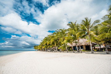 Palms on sandy beach, ocean and cloudy sky