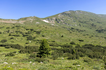 Fototapeta na wymiar landscape from hiking trail to Belmeken Peak, Rila mountain