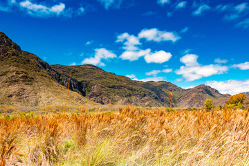 Autumn in the Mountains
