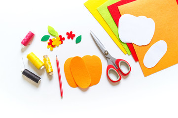 Workshop pumpkin handmade felt. Materials for embroidery and diy.