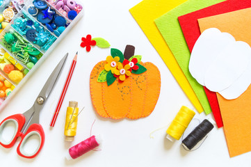 Workshop pumpkin handmade felt. Materials for embroidery and diy.