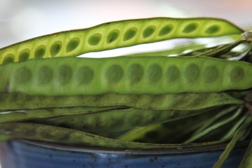 Green Leaves Of Summer