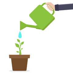 Green environment concept, watering plant in pot, flat design vector illustration