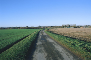Fototapeta na wymiar field agricultural landscape UK