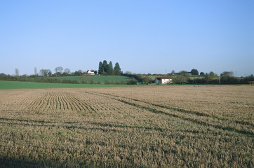 field agricultural landscape UK