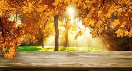 Wood table in autumn landscape with empty copy space for product display.