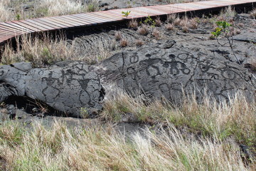 Pu‘u Loa Petroglyphs