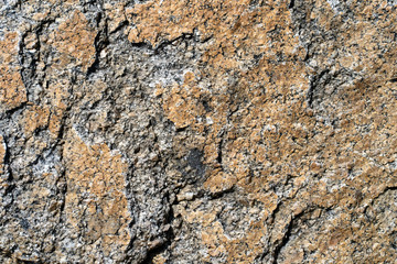 Background image. Texture of brown natural marble stone