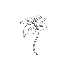 Abstract flower continuous line drawing, tattoo, print for clothes, logo and design for web or app, silhouette single line on a white background, isolated vector illustration.