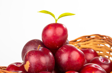 Plums Fruit isolated on white background.
