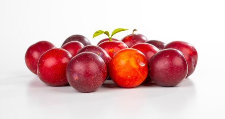 Plums Fruit isolated on white background.