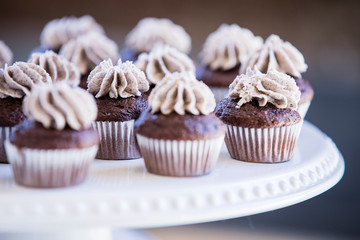 cupcakes on white platter