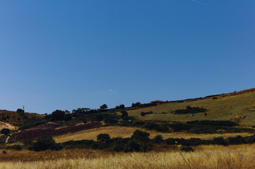 Obraz premium Sardische Landschaft