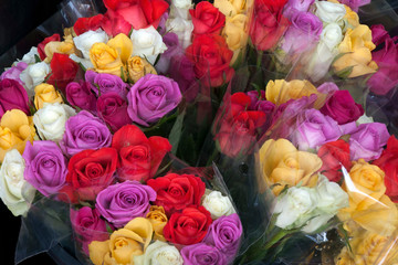 Sydney Australia, bunches of colorful rose flowers for sale