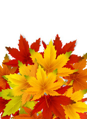 Autumn Background Template, with falling bunch of leaves, shopping sale or seasonal poster