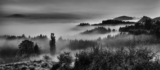 Hilly landscape with fog