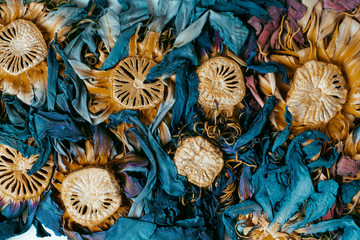 Abstract of Dried lotus flowers
